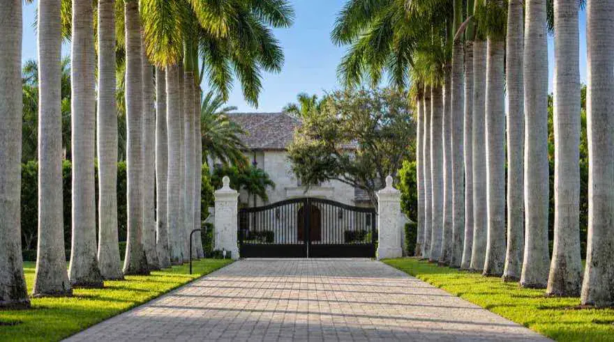 Dual swing driveway gate on a palm-lined entrance